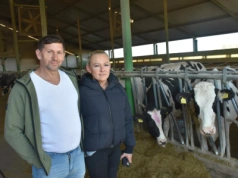 Zamienił ciężką pracę na komfort krów. Efekt? 13 tys. kg mleka