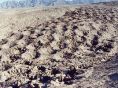 Tysiące tajemniczych otworów w Andach. Wreszcie rozwiązano ich zagadkę