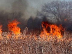 Nawet 30 tys. zł za wypalanie traw. Prezydent podpisał ustawę