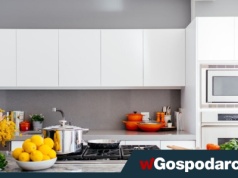 Małe AGD do kuchni, które powinieneś posiadać