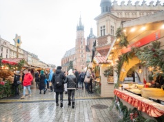 Google wskazał najpopularniejsze kierunki. Polskie miasto w gronie światowej czołówki