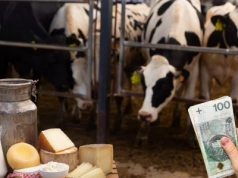 Światowe ceny mleka i masła spadają. Nadpodaż wywiera presję na rynek pod koniec 2025 r.!