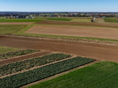 Parlament Europejski zatwierdza zmiany w polityce rolnej. Uproszczenie przepisów WPR