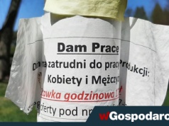 Tąpnięcie na rynku pracy. Chodzi o liczbę wakatów