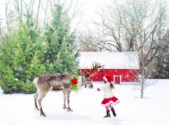 25 najpiękniejszych życzeń po niemiecku wraz z tłumaczeniem