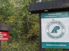 Trzem osobom związanym w przeszłości z gdańskim oddziałem Lasów Państwowych grozi po 10 lat więzienia. Jest akt oskarżenia
