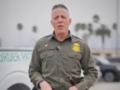 Uwaga nielegalni – Bovino powrócił do Chicago