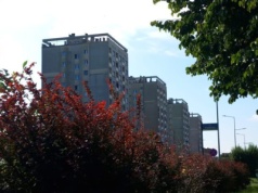 Raport: w 2026 r. zwiększy się sprzedaż mieszkań, ceny będą rosnąć w tempie bliskim inflacji