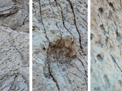 Spektakularne odkrycie we Włoszech. Pochodzą sprzed 210 milionów lat