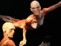 Wystawa BODY WORLDS powraca do Wrocławia z nową odsłoną!