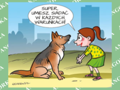 Nie tylko w domu. Trenowanie psa w każdej sytuacji