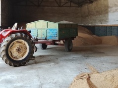 Zakup fumigantów. Od 2026 r. nowe obowiązki i ewidencja dla rolników