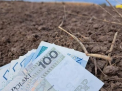 Składki KRUS na początku 2026 roku. Ile zapłacą rolnicy za I kwartał?