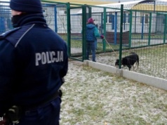 Agresja zamiast adopcji. Atak na kierowniczkę schroniska dla zwierząt w Tomarynach