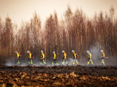 Nawet 30 tys. złotych kary za wypalanie traw