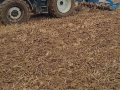 Mniej nawozów i ryzyka – co naprawdę daje rolnictwo regeneracyjne