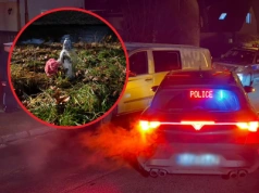 Wstrząsające zabójstwo 11-latki. Prokuratura zabrała głos