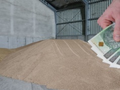 Ceny pszenżyta pod koniec roku. W jednych regionach 580 zł w innych 700 zł/t