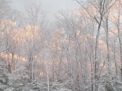 Ekstremalne mrozy w Kanadzie. Czy Europie grozi podobny atak zimy?