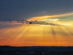 Energia słoneczna przez 24 godziny na dobę. Ta technologia wejdzie szybciej, niż mogliśmy przypuszczać
