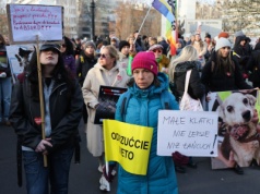 Obrońcy praw zwierząt od rana protestowali pod Sejmem. Znamy wynik głosowania ws. ustawy łańcuchowej
