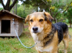 Ustawa Łańcuchowa. Sejm nie odrzucił prezydenckiego weta