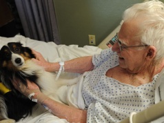 Zwierzęta przy łóżku pacjenta w Warszawie – profesor z Uniwersytetu Medycznego walczy o zmianę prawa