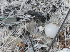 Składowisko świetlówek pod Strykowem uprzątnięte