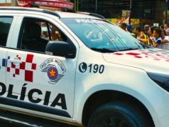 Kradzieże i rozróby w brazylijskim mieście. Policja aresztowała... małpkę kapucynkę