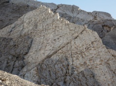 Tysiące śladów dinozaurów odkrytych przypadkiem na skale. "Szły powoli, cicho i rytmicznie"