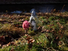 Wstrząsające zabójstwo 11-latki. Ekspert wskazuje możliwy motyw