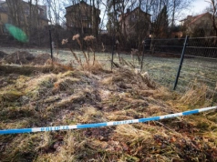 12-latka miała zabić 11-latkę. Koledzy ujawnili nowe informacje