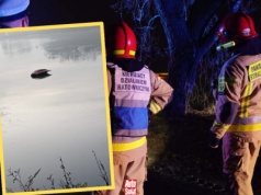 Jechał "elektrykiem", kiedy na drogę wybiegła sarna. Na jego nieszczęście tuż obok był staw