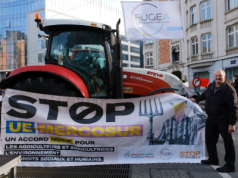 Rolnicy nie chcą umowy z Mercosur. Wyjechali na ulice Brukseli