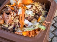 Od stycznia nowe pojemniki na odpady bio. W zamian zmieszane wyjadą raz na dwa tygodnie