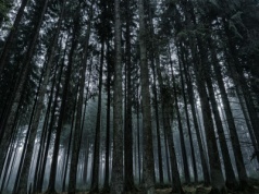 Prehistoryczne zombie. Pochówek z Niemiec pokazuje, jak z nimi walczono