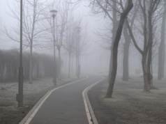 Pogoda na piątek | Będzie mgliście i pochmurno