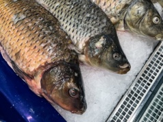 Najlepsze promocje na karpie w marketach. Już nawet dorzucają go za darmo