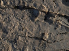 Znaleźli odciski prehistorycznych olbrzymów. Pierwsze takie odkrycie