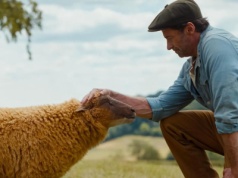 Hugh Jackman jako pasterz stada owiec. Zobaczcie pierwszy zwiastun filmu The Sheep Detectives