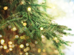 Wigilia dniem wolnym od pracy. PIP skontroluje, czy pracodawcy przestrzegają przepis…