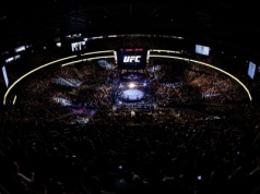 Kolejne wyróżnienia dla Polaków w UFC