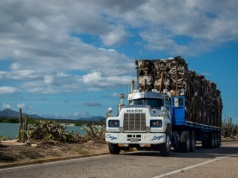 Nie ma się co dziwić, że w Polsce brakuje zawodowych kierowców. Ta praca to koszmar