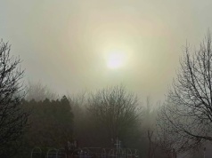 Czy Ogród Botaniczny Instytutu z Myślęcinka zimą śpi? Przekonajmy się! Drzwi otwarte!