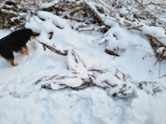 Żoliborz żegna symbol Cytadeli. „Wioślarz” nie wróci do parku