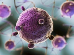 Komórki zombie, które nie chcą umrzeć. Naukowcy wiedzą już, skąd się bierze ich niebywała zdolność