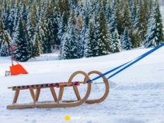 Top 3 modele sanek - klasyczne drewniane i bobsleje. Bezpieczne, wytrzymałe i w super cenie!
