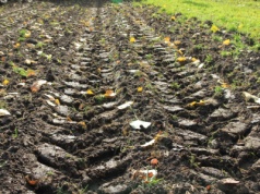 Opona radialna a diagonalna – znaczenie, różnice i korzyści. Co powinieneś wiedzieć