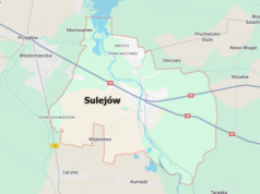 Sulejów planuje zamianę terenów z sąsiednią gminą. Sprawdź, o co chodzi!