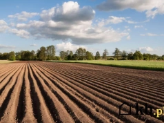 Te regiony wypadają najtaniej. Ceny ziemi dzielą Polskę